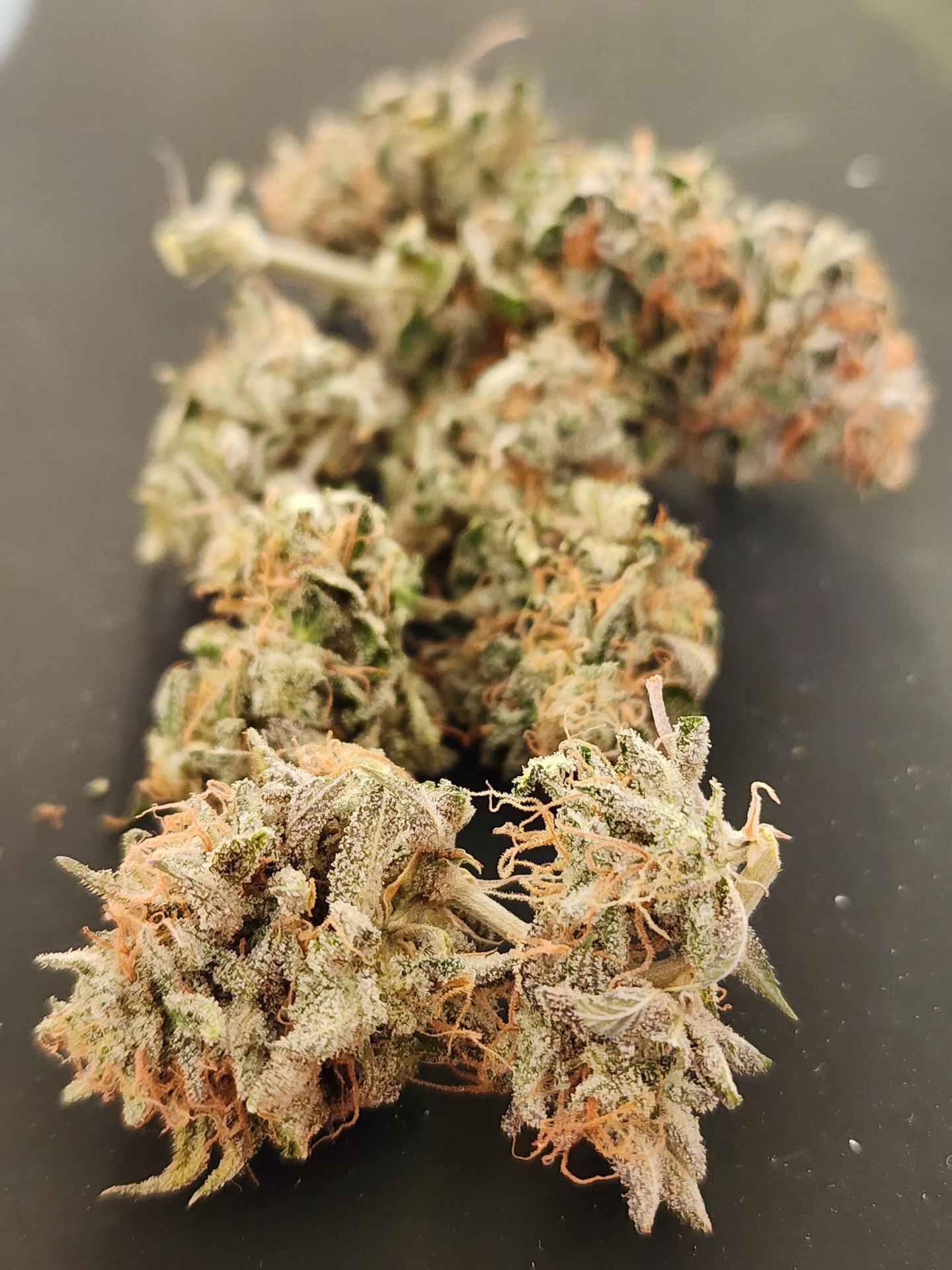 Uptown Budz